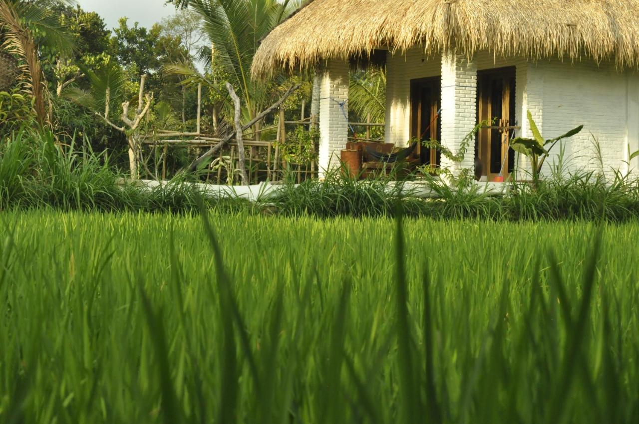 Mu Homestay Tetebatu Buitenkant foto