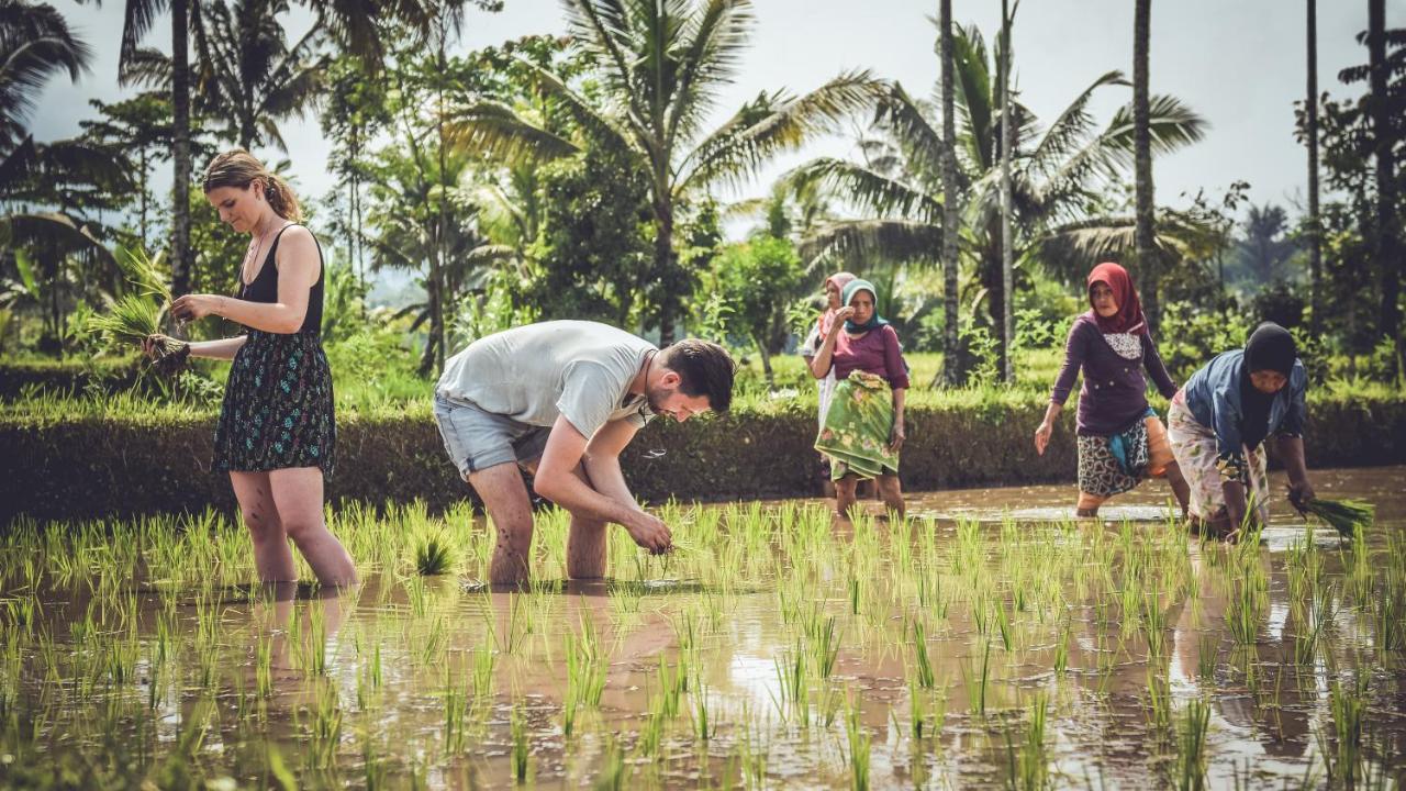 Mu Homestay Tetebatu Buitenkant foto