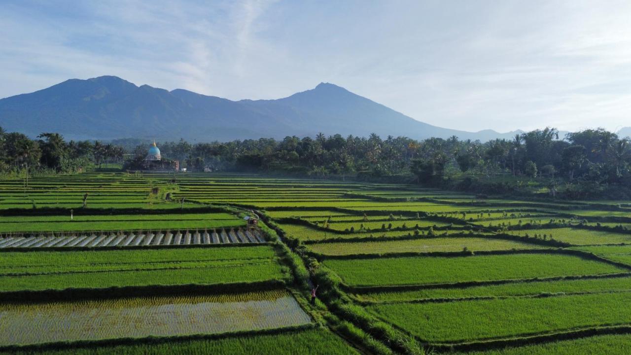 Mu Homestay Tetebatu Buitenkant foto