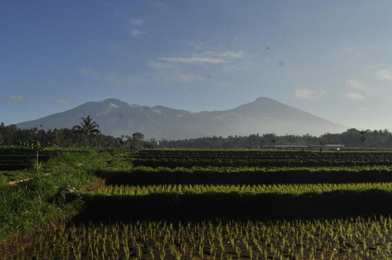 Mu Homestay Tetebatu Buitenkant foto