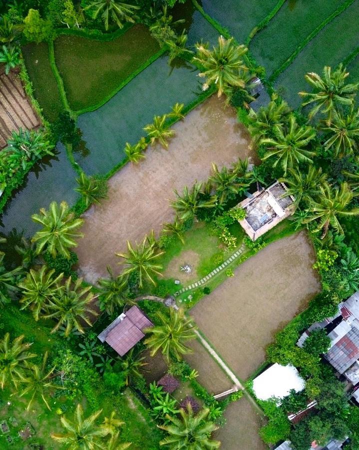 Mu Homestay Tetebatu Buitenkant foto