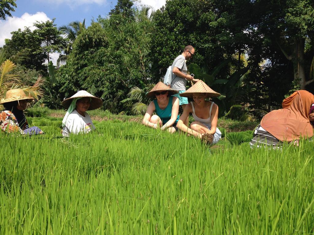 Mu Homestay Tetebatu Buitenkant foto