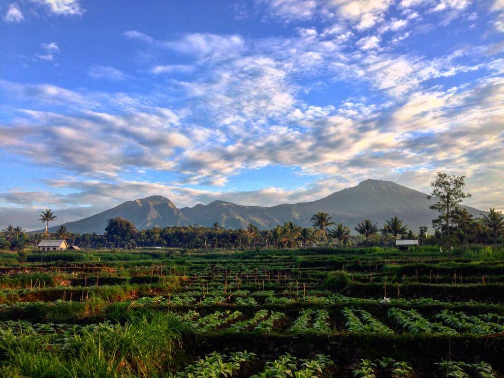 Mu Homestay Tetebatu Buitenkant foto